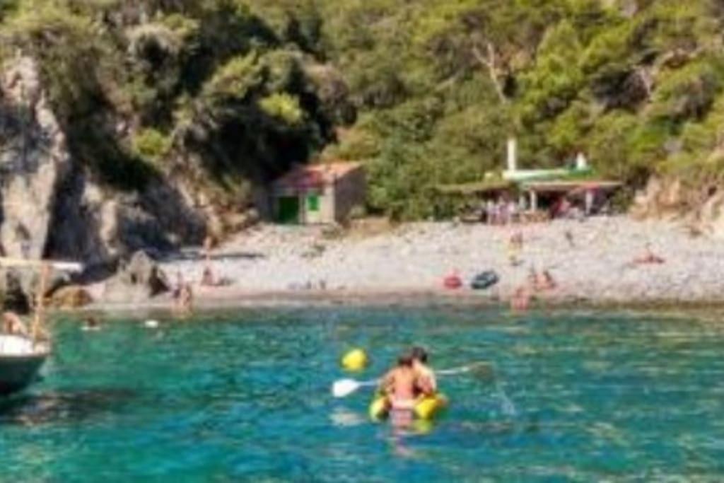 Piscina Playa Wifi Cozy Home Tax Free Palamos Bagian luar foto